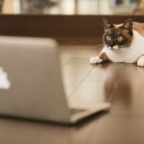 「【ColdFusion】Javaオブジェクトの使用方法」のアイキャッチ画像