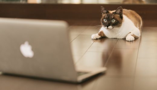 【ColdFusion】Javaオブジェクトの使用方法