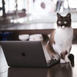 「【E2E】CodeceptJSのHelperを作ってみよう」のアイキャッチ画像