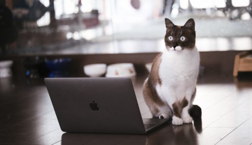 【E2E】CodeceptJSのHelperを作ってみよう