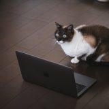 「ColdFusionの複数バージョンで動作検証する方法」のアイキャッチ画像